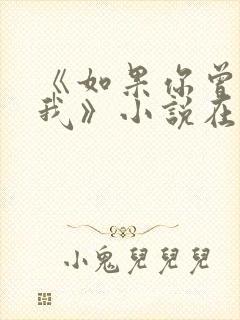 《如果你曾相信我》小说在线阅读
