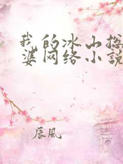 我的冰山总裁老婆网络小说