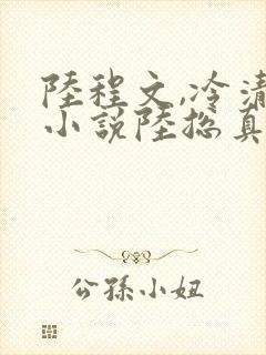 陆程文,冷清秋小说陆总真苟