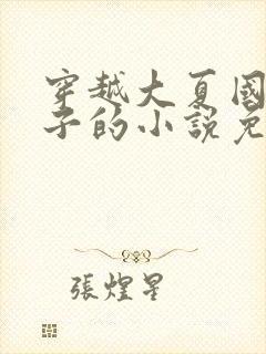 穿越大夏国九皇子的小说免费阅读