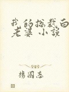 我的总裁白富美老婆 小说
