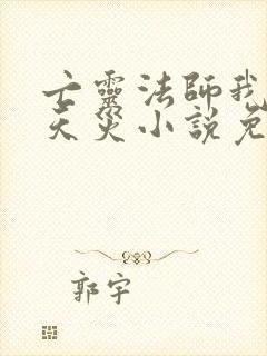 亡灵法师我即是天灾小说免费