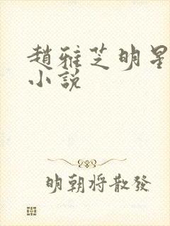 赵雅芝明星系列小说