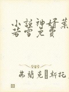 小说神婿叶凡唐若雪免费