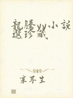 龙腾yy小说精选珍藏