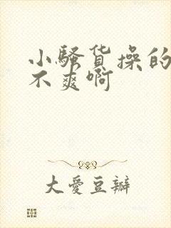 小骚货操的你爽不爽啊