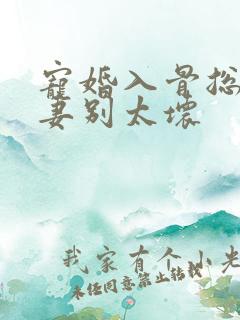 宠婚入骨总裁撩妻别太坏