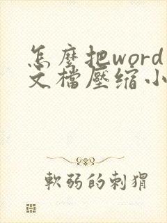 怎么把word文档压缩小一点