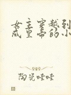 女主穿越到古代成皇帝的小说