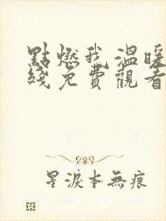 点燃我温暖你在线免费观看电视剧