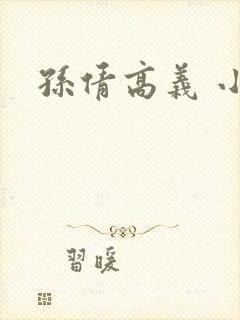 孙倩高义 小说