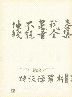 他不是我泰剧在线观看全集