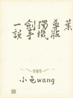 一剑独尊叶玄小说手机版