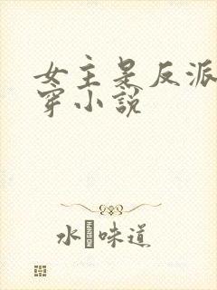 女主是反派的快穿小说