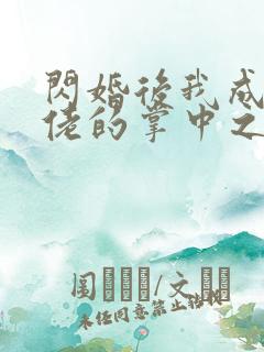 闪婚后我成了大佬的掌中之物27