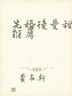 先婚后爱甜宠文推荐