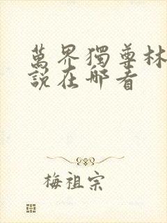 万界独尊林枫小说在哪看