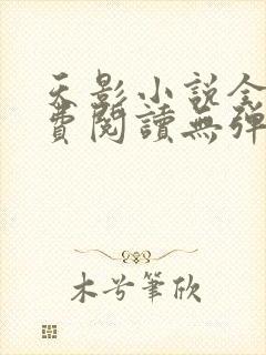 天影小说全文免费阅读无弹窗
