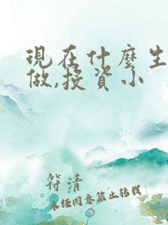 现在什么生意能做,投资小