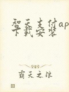 智天支付app下载安装