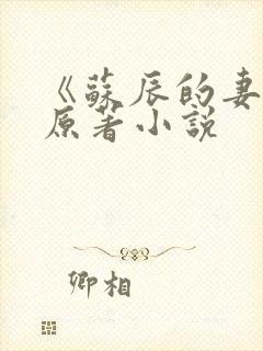 《苏辰的妻子》原著小说