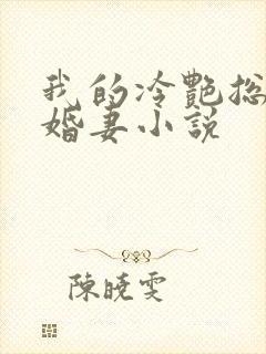 我的冷艳总裁未婚妻小说