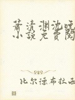 萧清渊沈晚棠的小说免费阅读