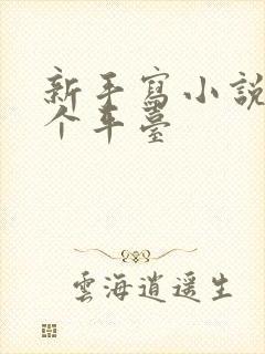 新手写小说去哪个平台