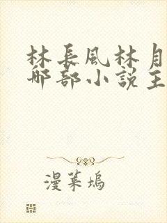 林长风林月曦是哪部小说主角
