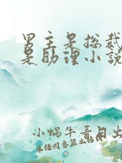 男主是总裁女主是助理小说