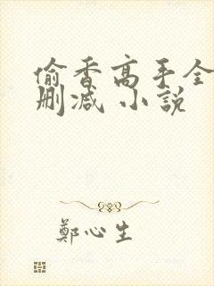 偷香高手全文无删减 小说