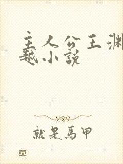 主人公王渊的穿越小说