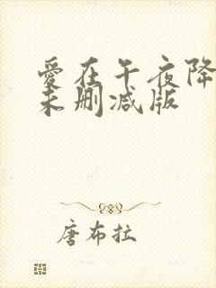 爱在午夜降临前未删减版