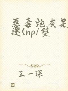 恶毒炮灰是万人迷(np/双