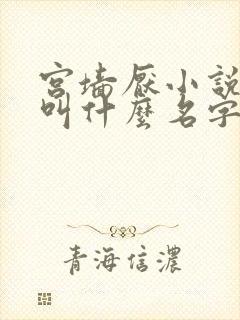 宫墙厌小说原著叫什么名字