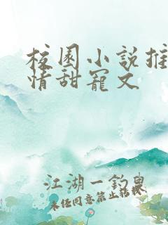 校园小说推荐言情甜宠文
