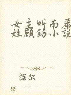 女主叫南希男主姓顾的小说