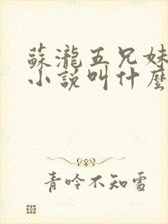 苏泷五兄妹原著小说叫什么