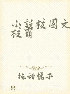 小说校园文男主校霸