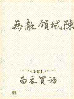 无敌领域陈长安