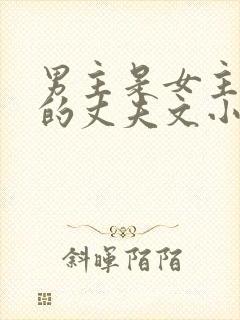 男主是女主姐姐的丈夫文小说