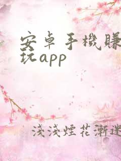 安卓手机赚钱试玩app