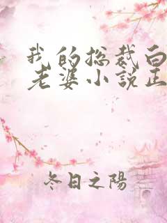我的总裁白富美老婆小说正版