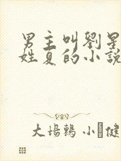 男主叫刘星女主姓夏的小说
