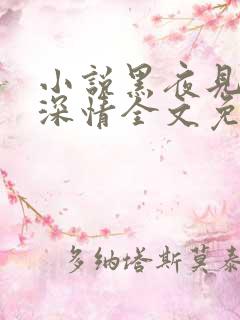 小说黑夜见过他深情全文免费阅读