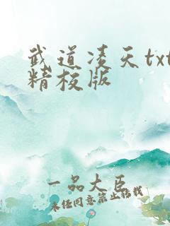 武道凌天txt精校版