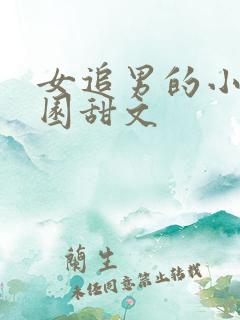 女追男的小说校园甜文