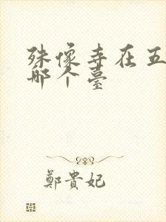 殊像寺在五台山哪个台