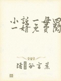 小说一母四女共一婿免费阅读