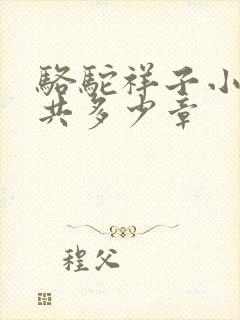 骆驼祥子小说一共多少章